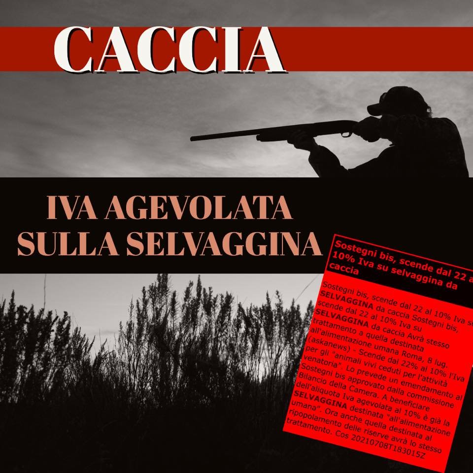 Vergogna M5S: incentiva le attività venatorie